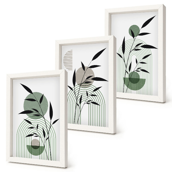 Set 3 slik v okvirju Abstraktne rastlinske kompozicije, boho stil