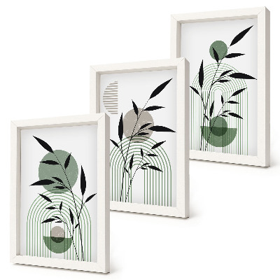 Set 3 slik v okvirju Abstraktne rastlinske kompozicije, boho stil
