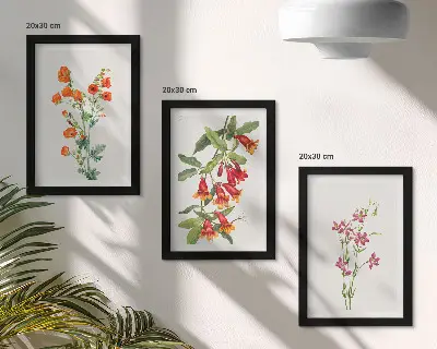 Starinska retro slika cvetja komplet slik v okvirju