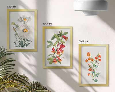 Stenska galerija slik Cvetlične kompozicije v retro vintage slogu