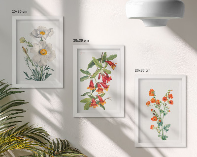 Stenska galerija slik Cvetlične kompozicije v retro vintage slogu