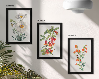 Stenska galerija slik Cvetlične kompozicije v retro vintage slogu