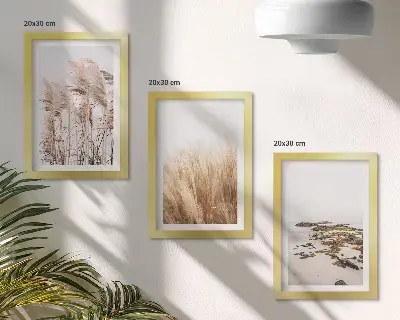 Stenska galerija slik pampas trava in boemska plaža