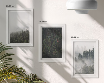 Stenska galerija slik Zeleni gozdovi v meglenem naravnem okolju