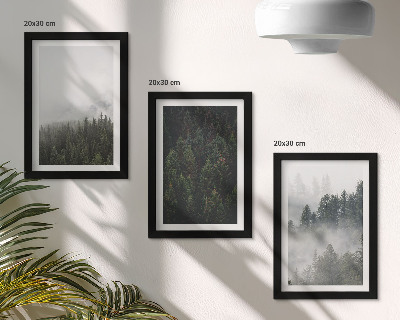 Stenska galerija slik Zeleni gozdovi v meglenem naravnem okolju