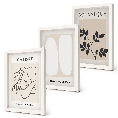 Set 3 slik v okvirju Elegantne minimalistične slike z rastlinskimi motivi Matisseja