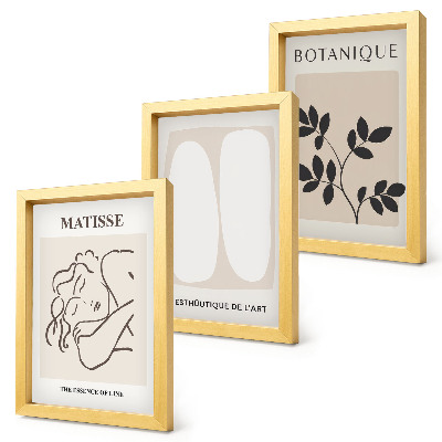 Set 3 slik v okvirju Elegantne minimalistične slike z rastlinskimi motivi Matisseja