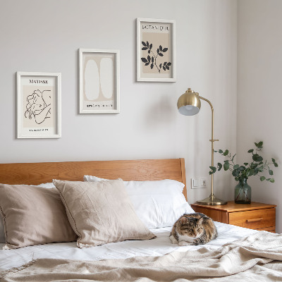 Set 3 slik v okvirju Elegantne minimalistične slike z rastlinskimi motivi Matisseja