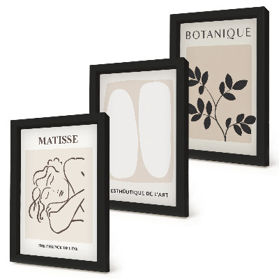 Set 3 slik v okvirju Elegantne minimalistične slike z rastlinskimi motivi Matisseja