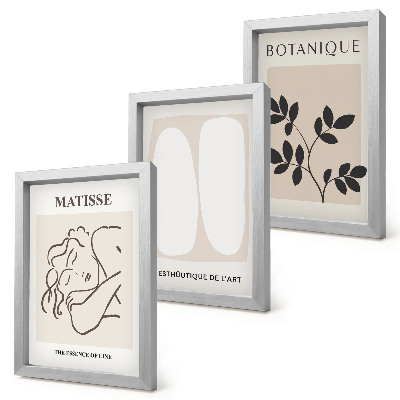 Set 3 slik v okvirju Elegantne minimalistične slike z rastlinskimi motivi Matisseja