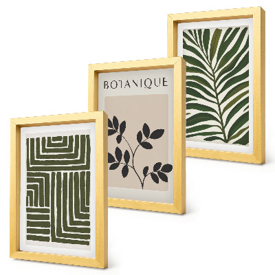 Komplet slik v okvirju Botanične kompozicije v slogu boho minimalizma