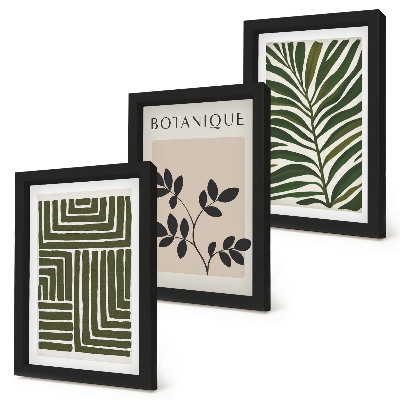 Komplet slik v okvirju Botanične kompozicije v slogu boho minimalizma