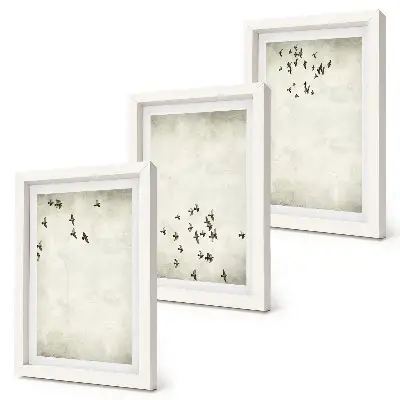 Slika letečih ptic minimalističen set v okvirju
