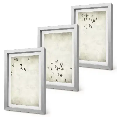 Slika letečih ptic minimalističen set v okvirju