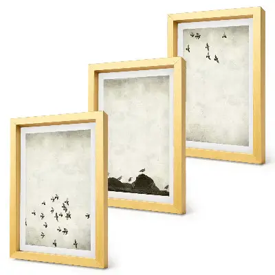 Komplet 3 slik v okvirju ptice v letu v minimalističnem slogu