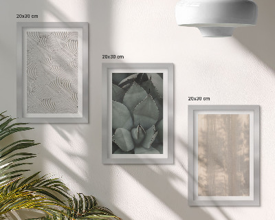 Stenska galerija slik Poletne teksture od blizu v tropskem podnebju