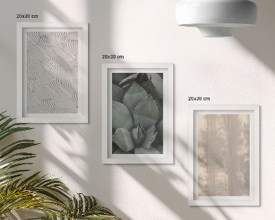 Stenska galerija slik Poletne teksture od blizu v tropskem podnebju