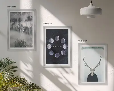 Set 3 slik v okvirju z motivom gozdne pokrajine z meglo, luno in jelenovo lobanjo