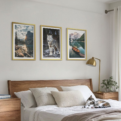 Set 3 slik v okvirju Gore jezera volk narava