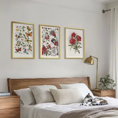 Komplet 3 slik v okvirju metulji s cvetovi rdečih vrtnic