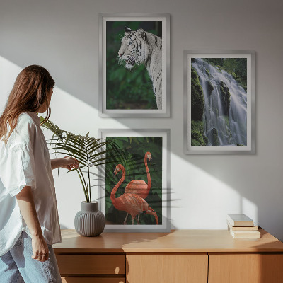Večdelna slika v okvirju Tiger slap flamingi narava
