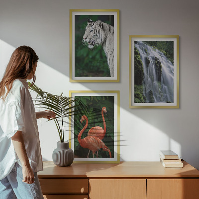 Večdelna slika v okvirju Tiger slap flamingi narava