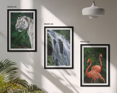 Večdelna slika v okvirju Tiger slap flamingi narava