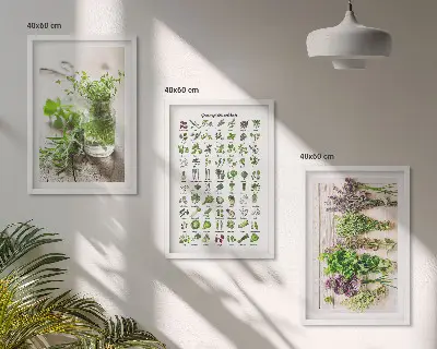 Posušena zelišča za kuhinjo večdelna slika v okvirju