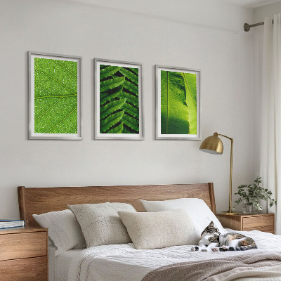 Triptih v okvirju Makro fotografija tropskih listov