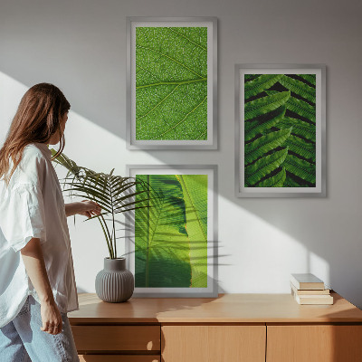 Triptih v okvirju Makro fotografija tropskih listov