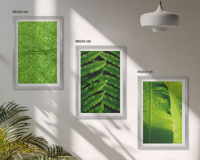Triptih v okvirju Makro fotografija tropskih listov