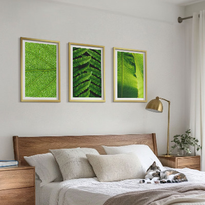 Triptih v okvirju Makro fotografija tropskih listov