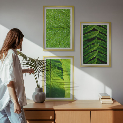 Triptih v okvirju Makro fotografija tropskih listov