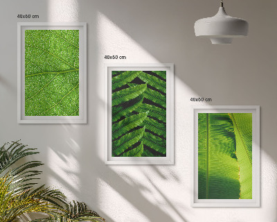 Triptih v okvirju Makro fotografija tropskih listov