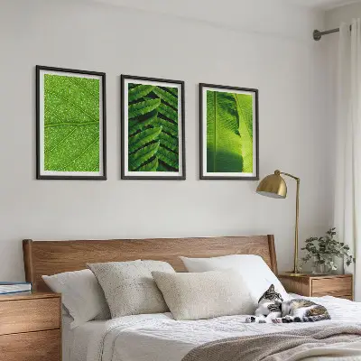 Makro fotografija tropskih listov triptih v okvirju