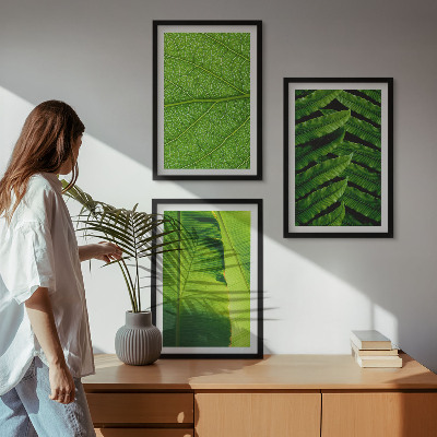 Triptih v okvirju Makro fotografija tropskih listov