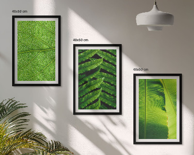 Triptih v okvirju Makro fotografija tropskih listov