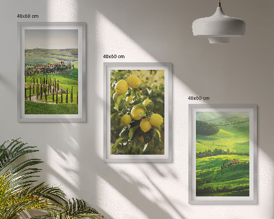 Triptih v okvirju Italijanski citrusi in hribi