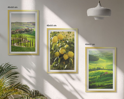 Triptih v okvirju Italijanski citrusi in hribi
