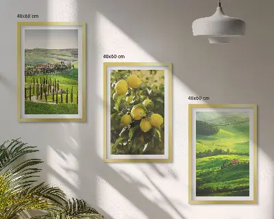 Italijanski citrusi in hribi triptih v okvirju