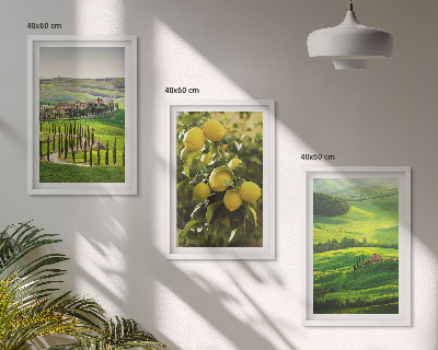 Triptih v okvirju Italijanski citrusi in hribi