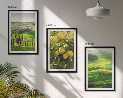 Triptih v okvirju Italijanski citrusi in hribi