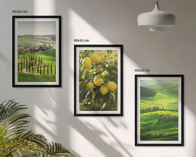 Italijanski citrusi in hribi triptih v okvirju
