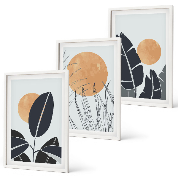Set 3 slik v okvirju Rastlinski vzorci velika sonca minimalistični