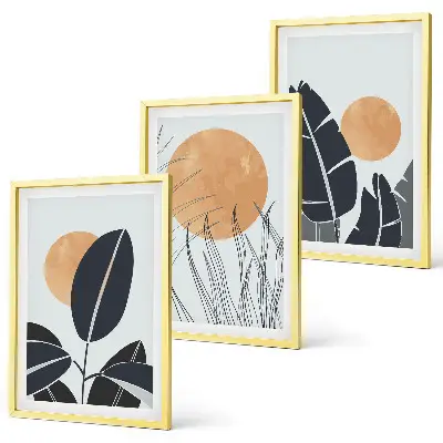 Set 3 slik v okvirju rastlinski vzorci z minimalističnim motivom sonca