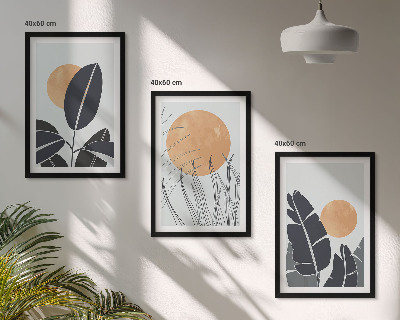 Set 3 slik v okvirju Rastlinski vzorci velika sonca minimalistični