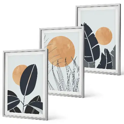 Set 3 slik v okvirju rastlinski vzorci z minimalističnim motivom sonca