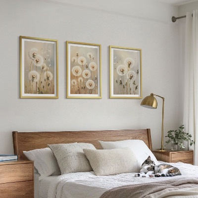 Set 3 slik v okvirju Beli regrat na svetlem ozadju
