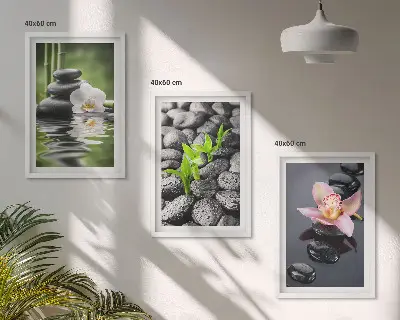 Triptih Mirna zen kompozicija cvetja in vode v okvirju