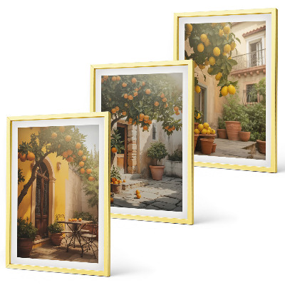 Set 3 slik v okvirju Lonci za citruse na sončni terasi